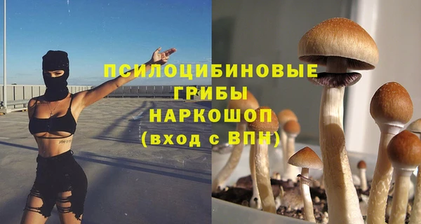спиды Алексеевка