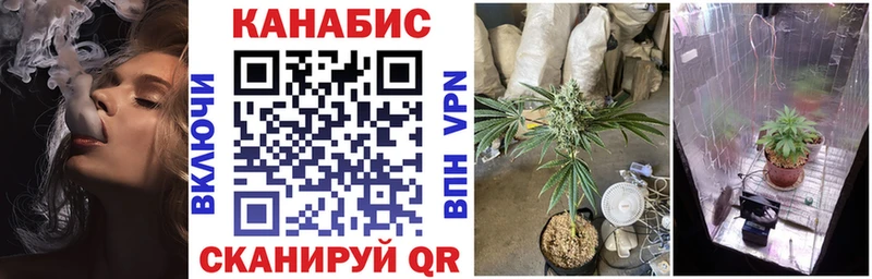 Шишки марихуана семена  как найти наркотики  блэк спрут ССЫЛКА  Закаменск 